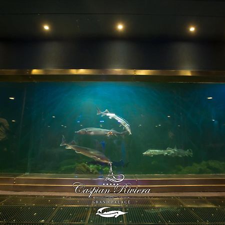 Caspian Riviera Grand Palace Hotel Актау Екстер'єр фото Dolphins at the aquarium